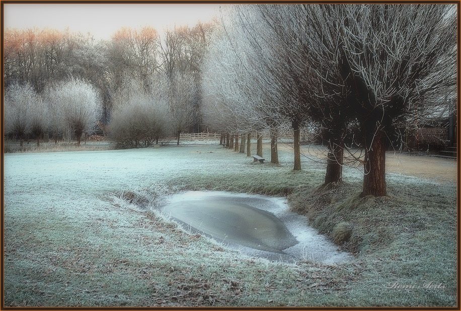 фото "Frozen day" метки: пейзаж, путешествия, зима