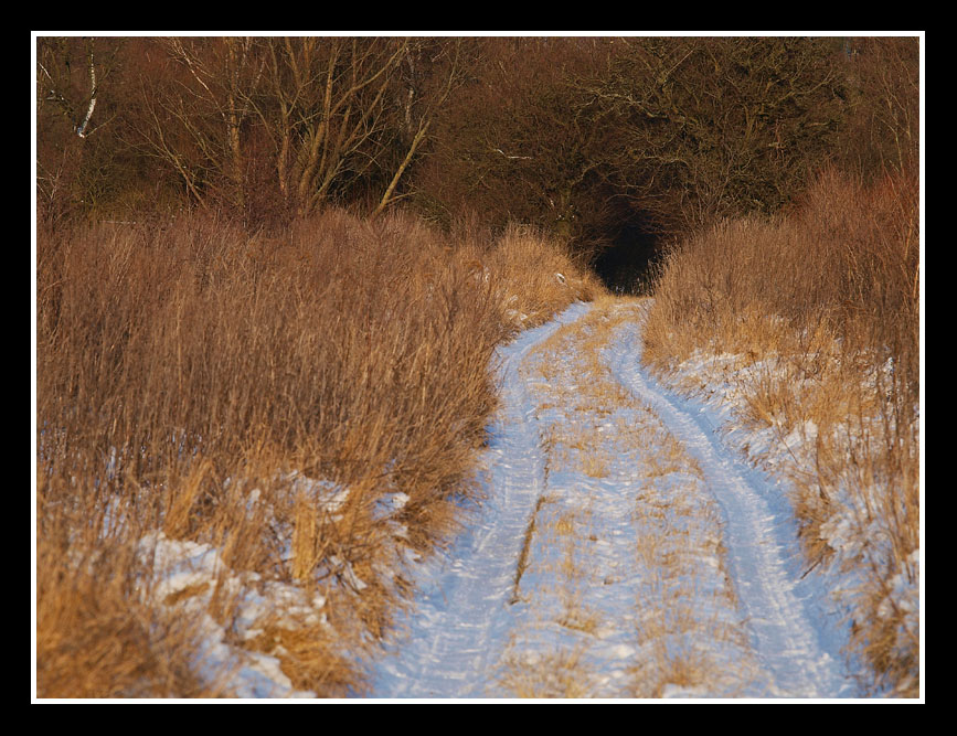 photo "What is down there.." tags: landscape, winter