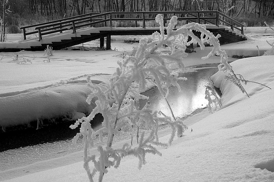 фото "Морозное утро." метки: пейзаж, зима