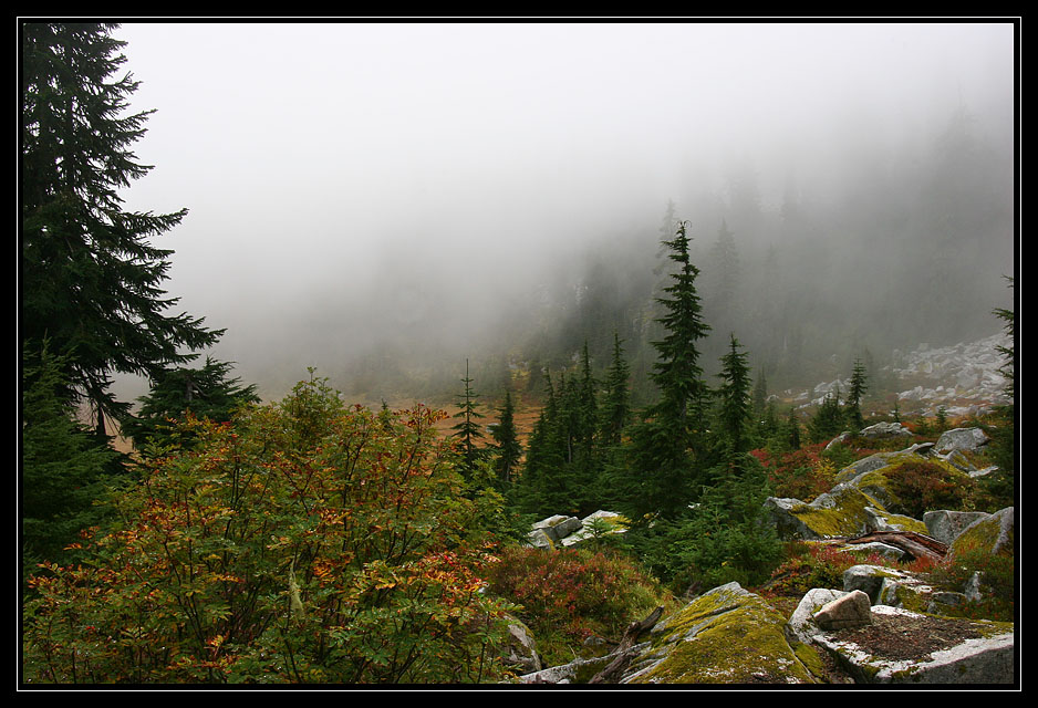 photo "Foggy Fall" tags: landscape, autumn, forest