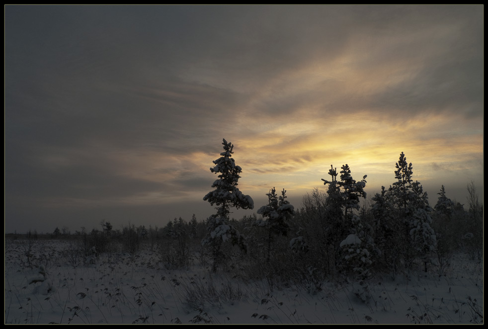 photo "***" tags: landscape, sunset, winter