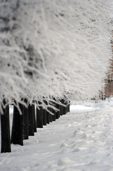 photo "***" tags: city, landscape, winter