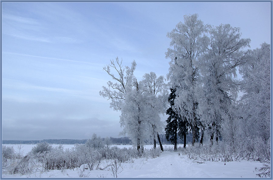 photo "***" tags: landscape, forest, winter