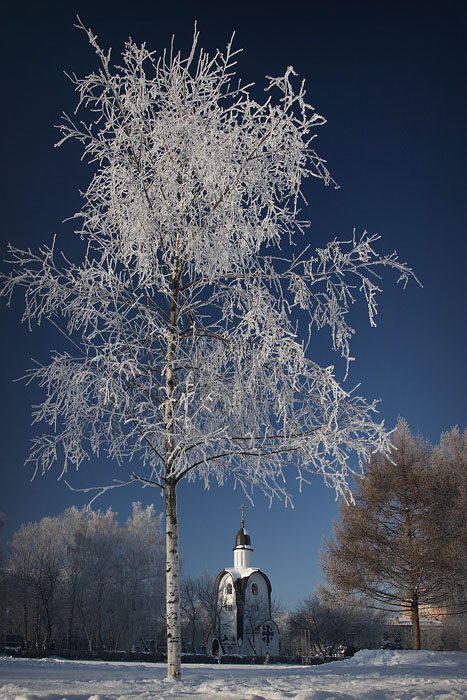 photo "***" tags: landscape, winter