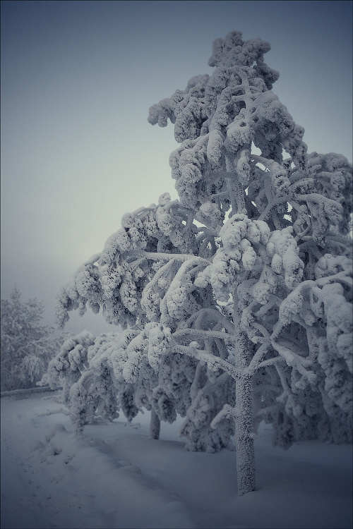 фото "* * *" метки: пейзаж, зима