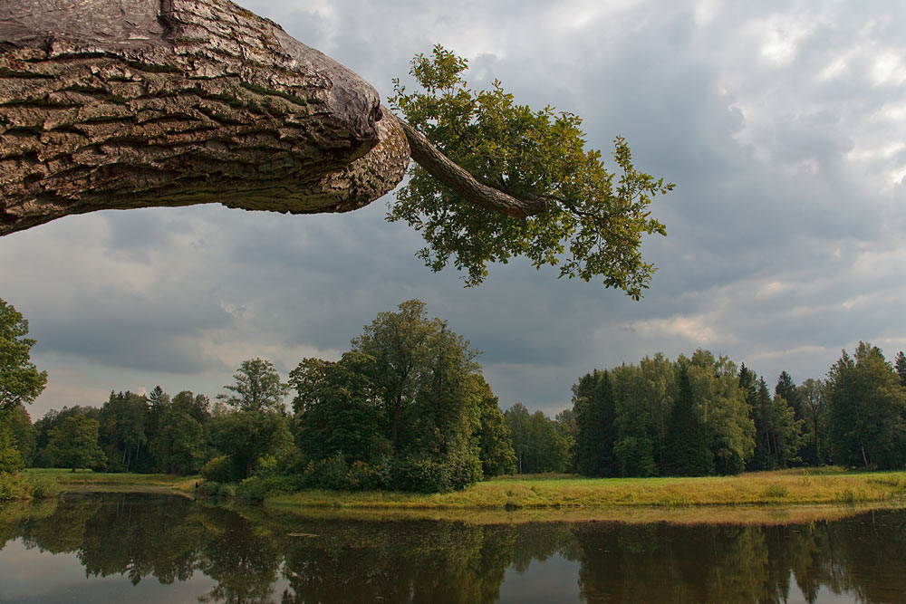 photo "finger" tags: landscape, fragment, water