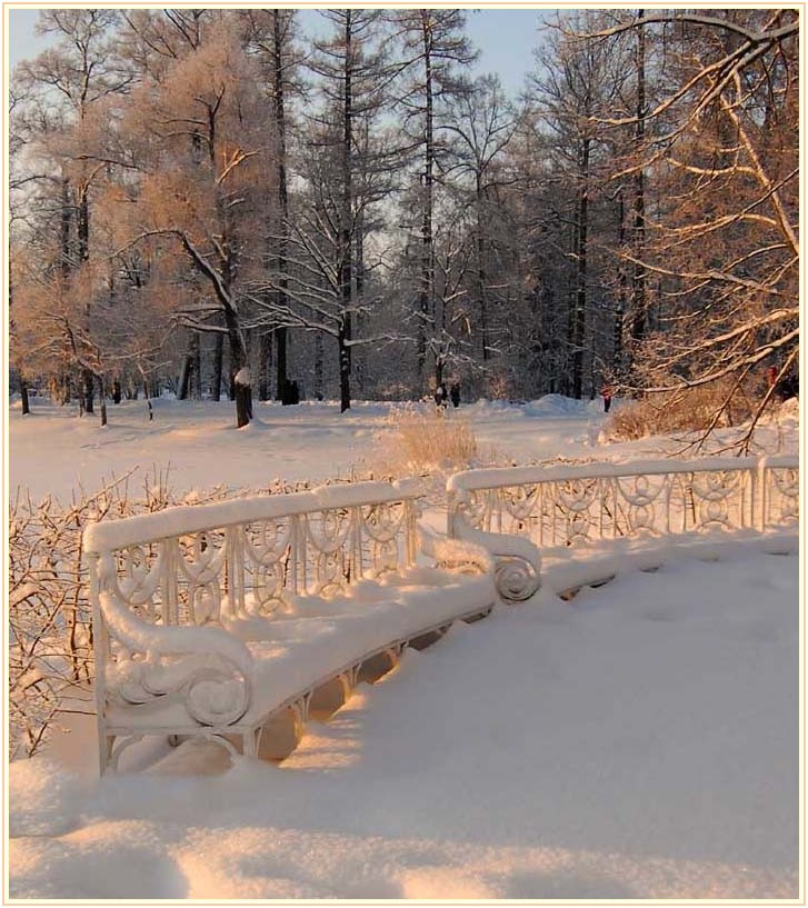 фото "зимние скамейки" метки: , 