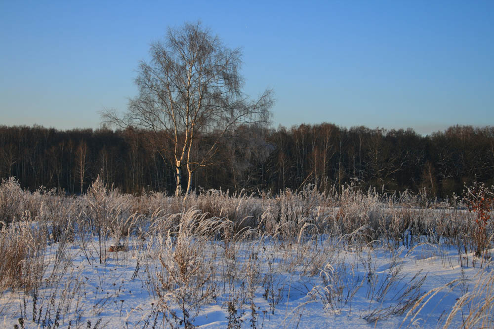 photo "***" tags: landscape, misc., winter