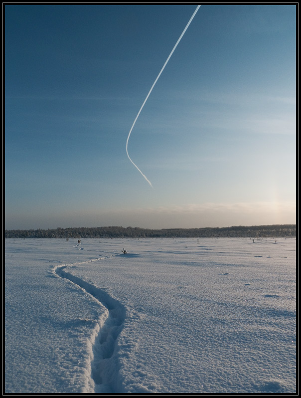 фото "Следы." метки: пейзаж, зима