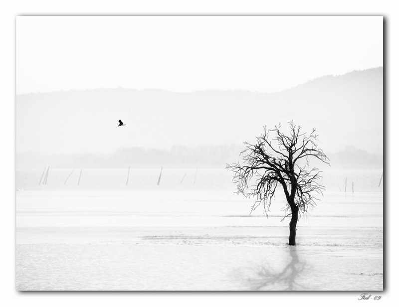 фото "A quiet lake" метки: пейзаж, 