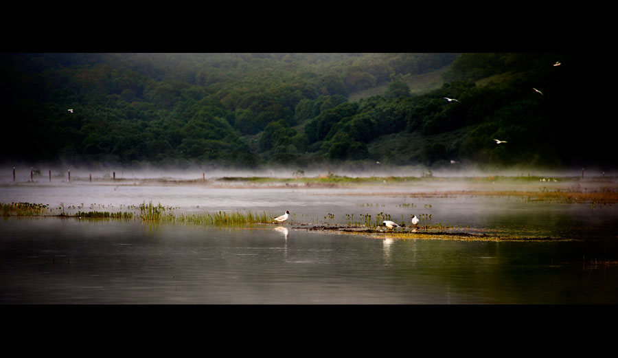 photo "***" tags: landscape, summer