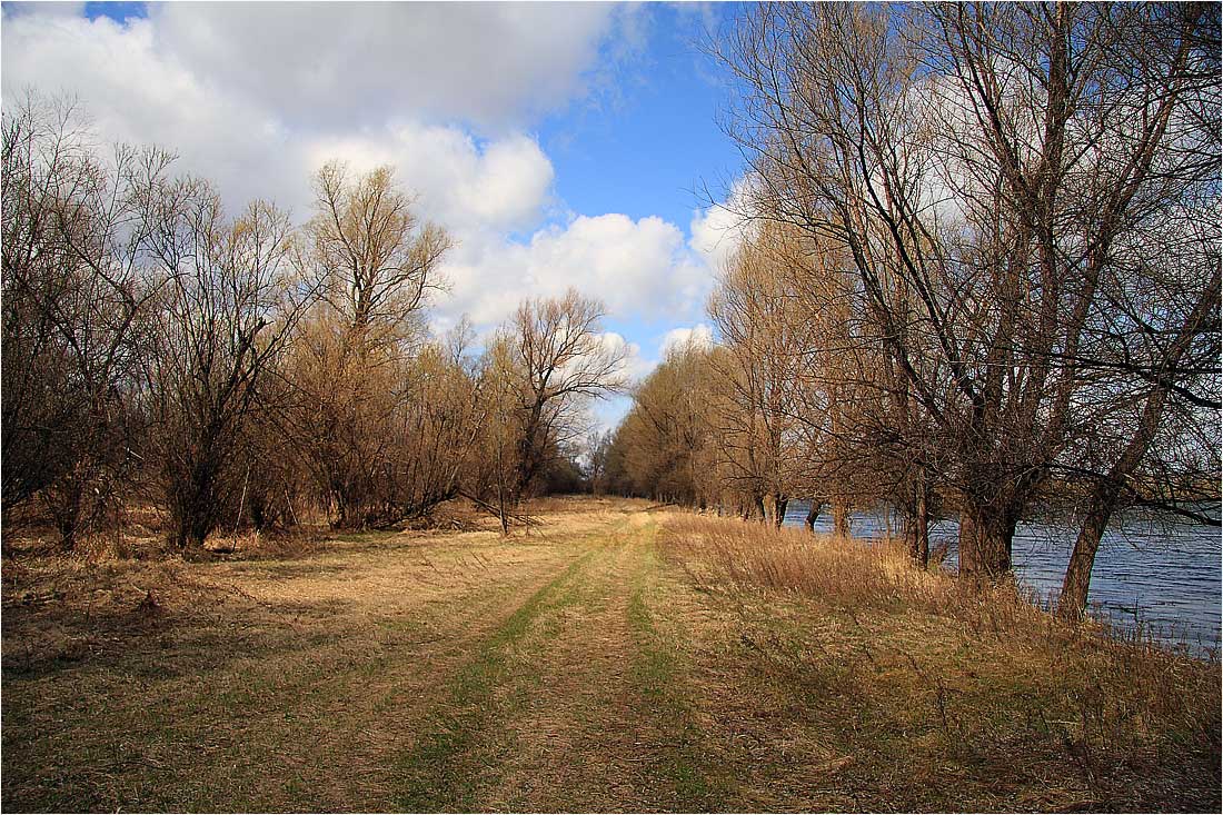 photo "***" tags: landscape, spring