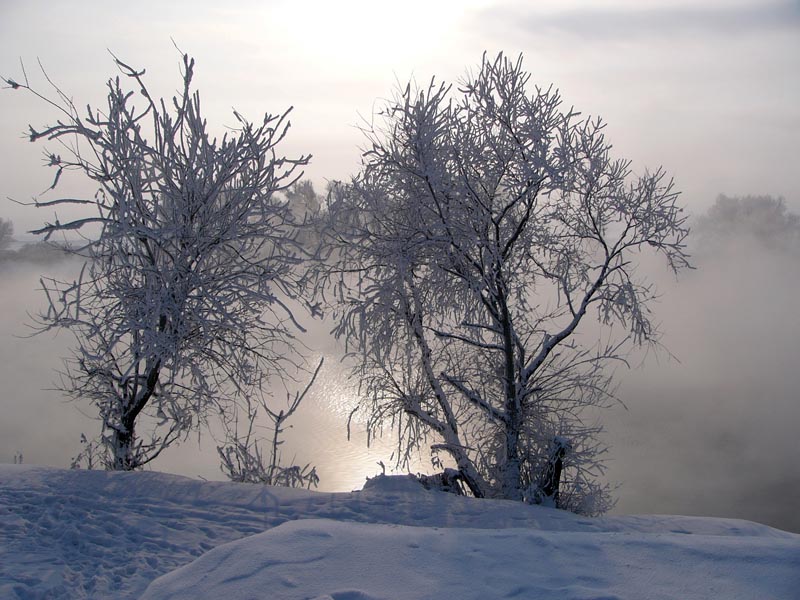 photo "***" tags: landscape, winter