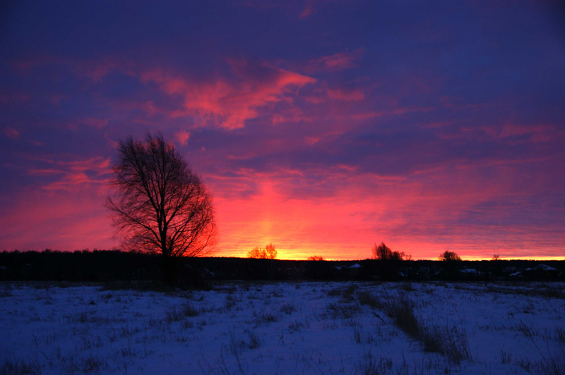 photo "***" tags: landscape, winter