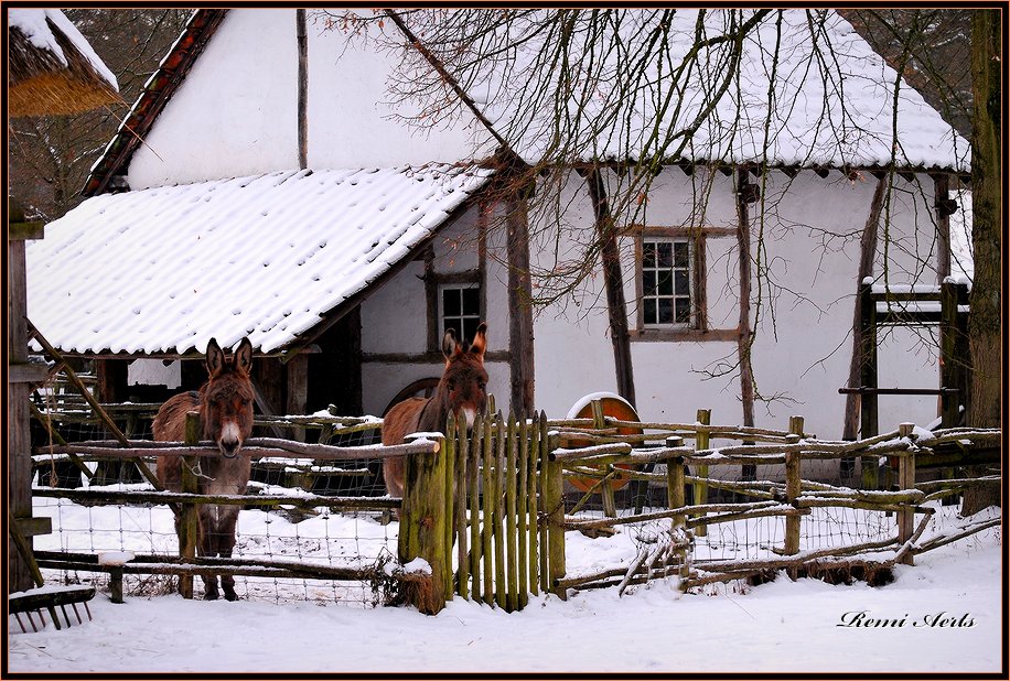 photo "good friends" tags: architecture, nature, landscape, pets/farm animals