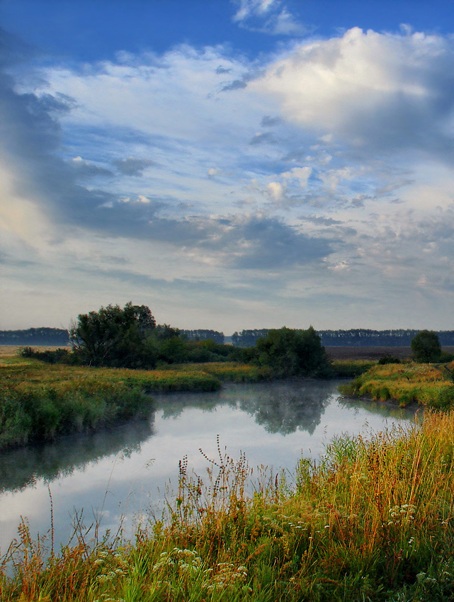 photo "... morning ..." tags: landscape, summer