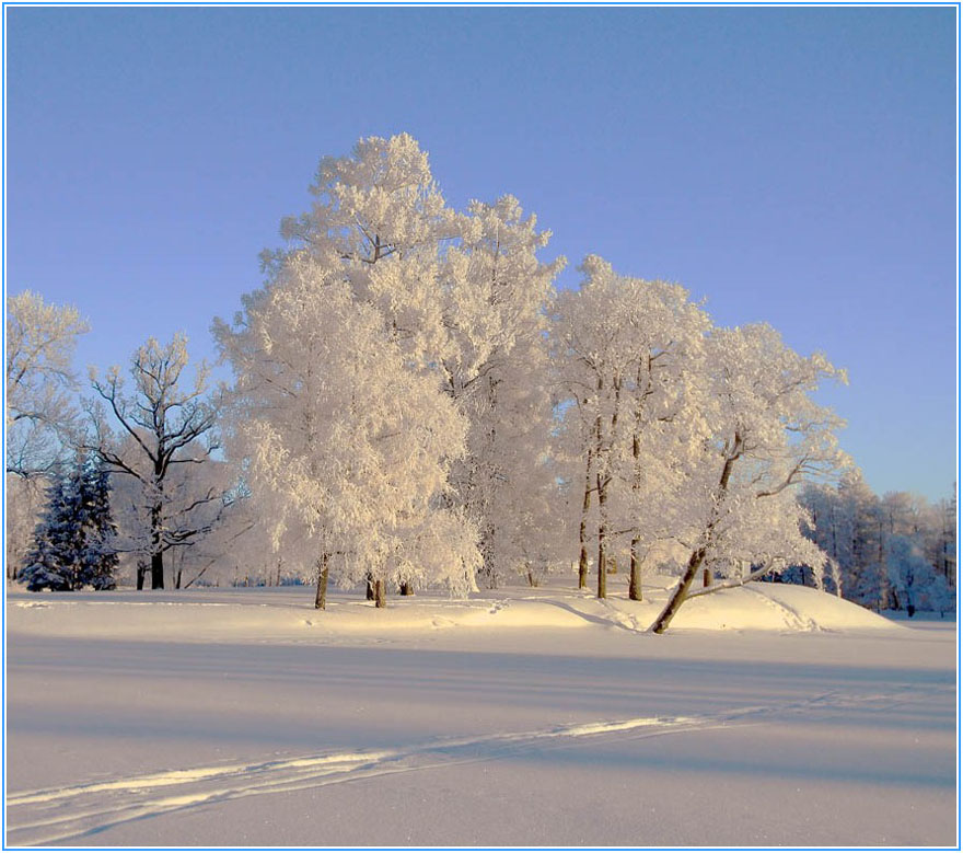 photo "***" tags: landscape, forest