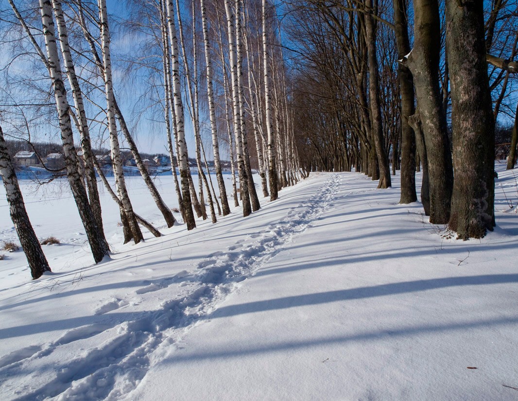 photo "***" tags: landscape, winter