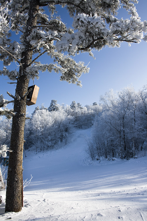 photo "***" tags: landscape, winter