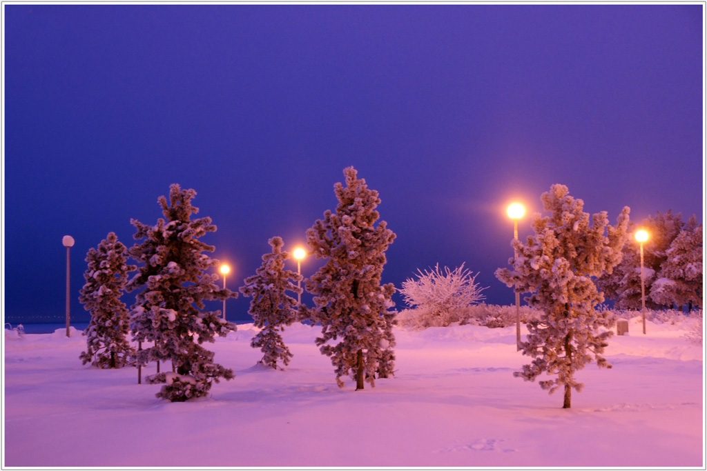 photo "***" tags: landscape, winter