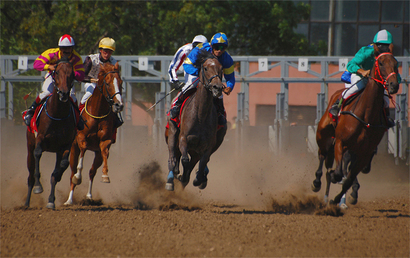photo "***" tags: sport, 