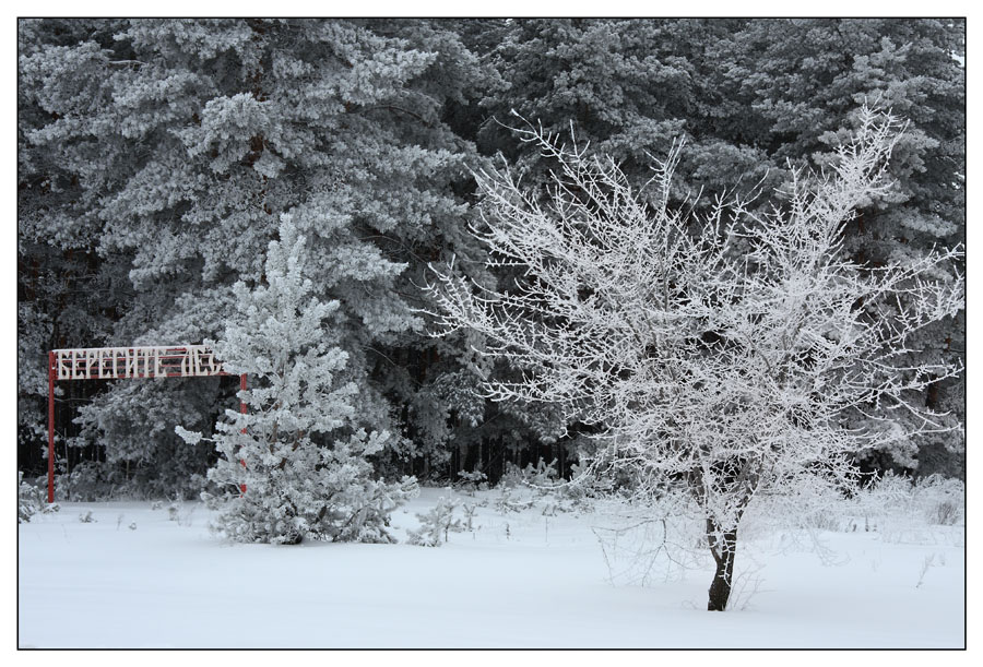 photo "***" tags: landscape, winter