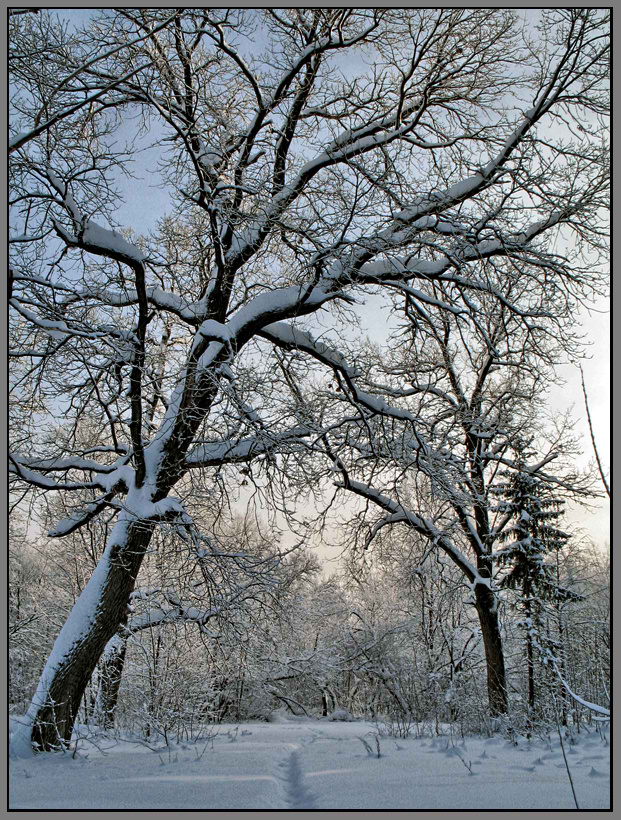 photo "***" tags: landscape, winter