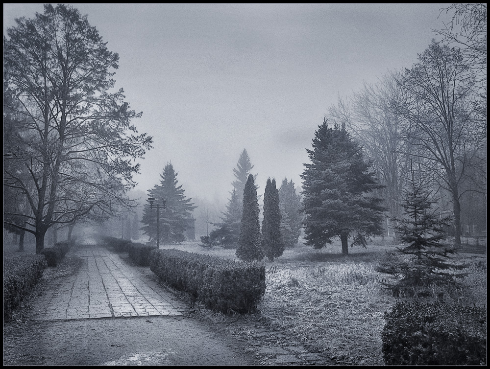 photo "Chilly morning" tags: landscape, black&white, winter