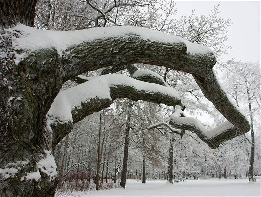 photo "* * *" tags: landscape, winter