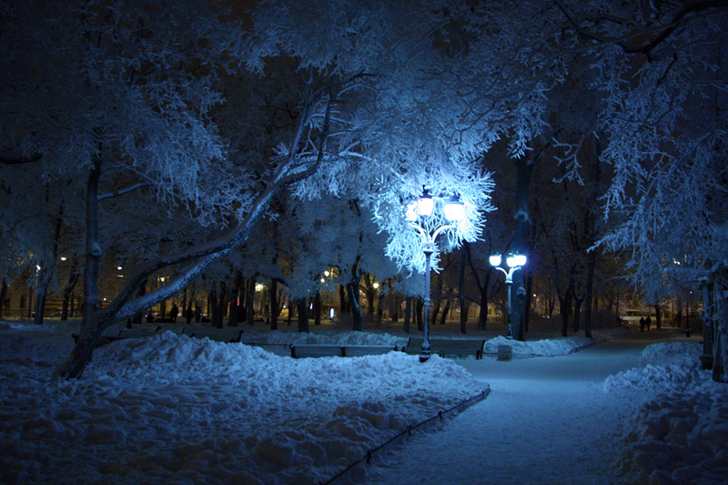 photo "***" tags: landscape, night, winter