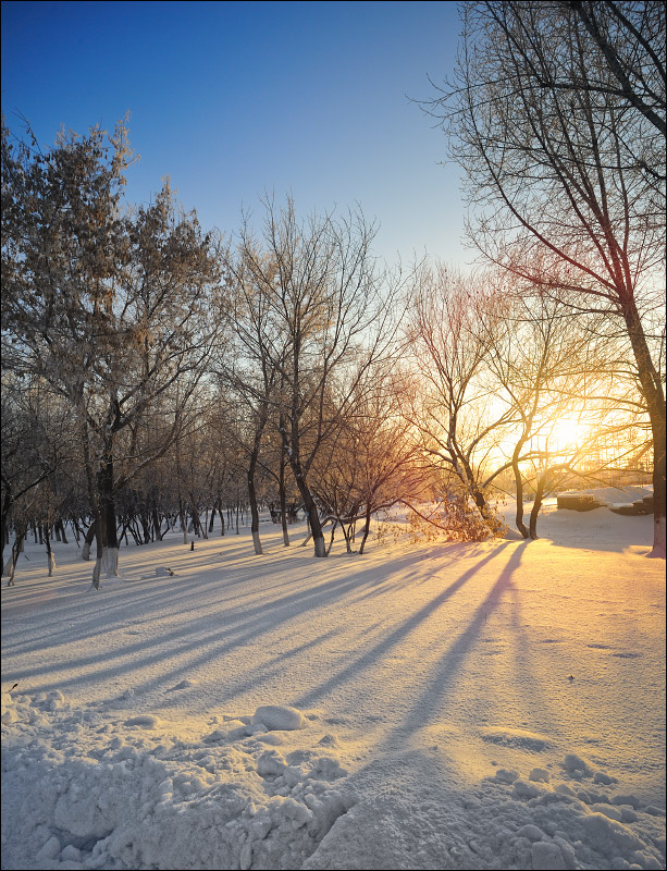 photo "Contrasts" tags: landscape, winter