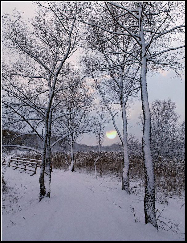 photo "Lilac evening" tags: landscape, sunset, winter