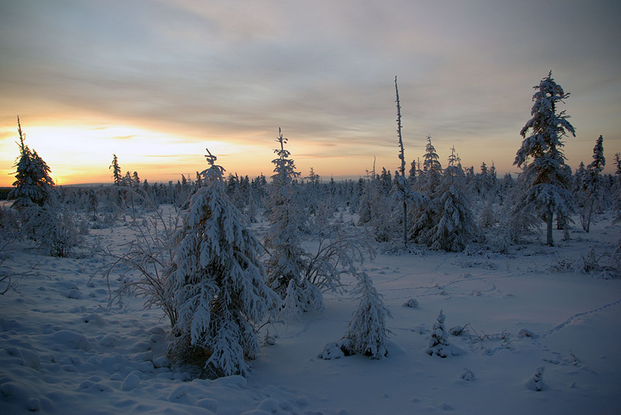 photo "***" tags: landscape, sunset, winter