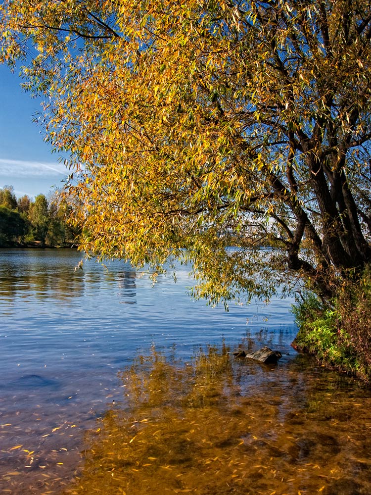 photo "***" tags: landscape, autumn, water