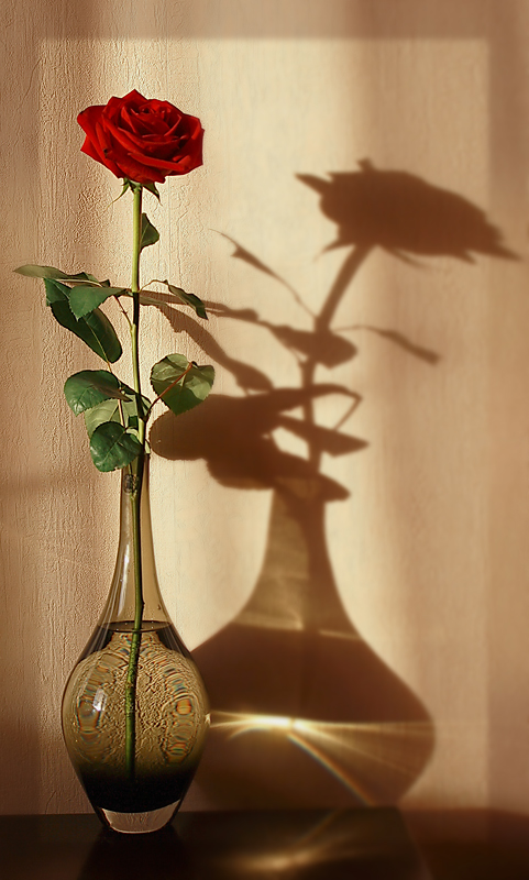 photo "Tango with a shadow" tags: still life, 