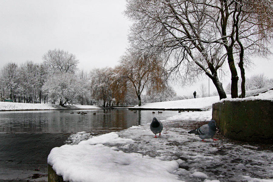 фото "Первый снег 1" метки: пейзаж, зима