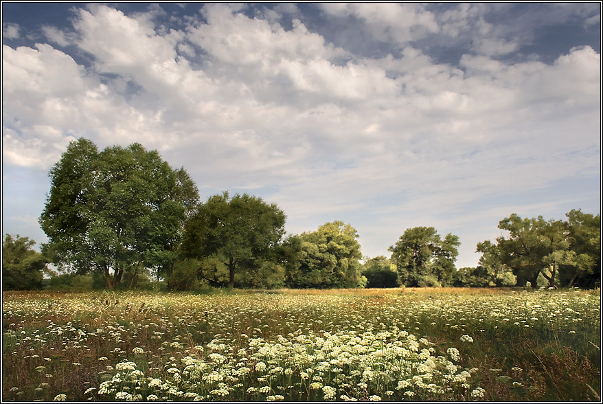 photo "***" tags: landscape, clouds, summer