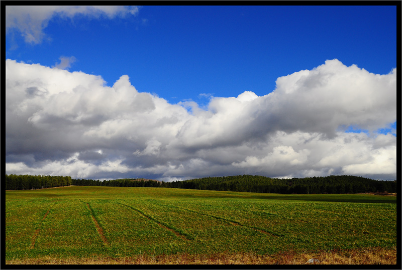 photo "***" tags: landscape, forest