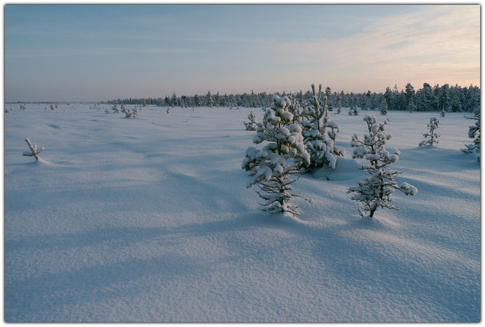 photo "***" tags: landscape, winter