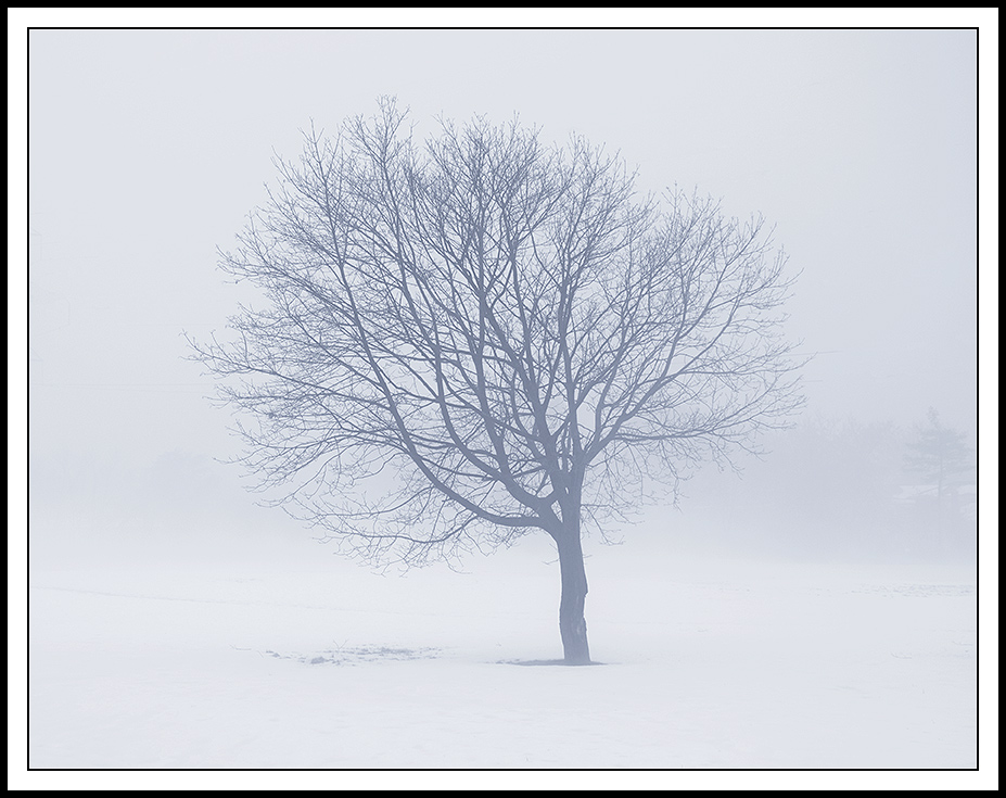 фото "Fog" метки: пейзаж, зима