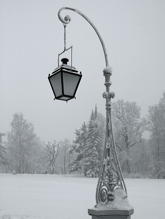 фото "Не светит и не греет" метки: пейзаж, зима