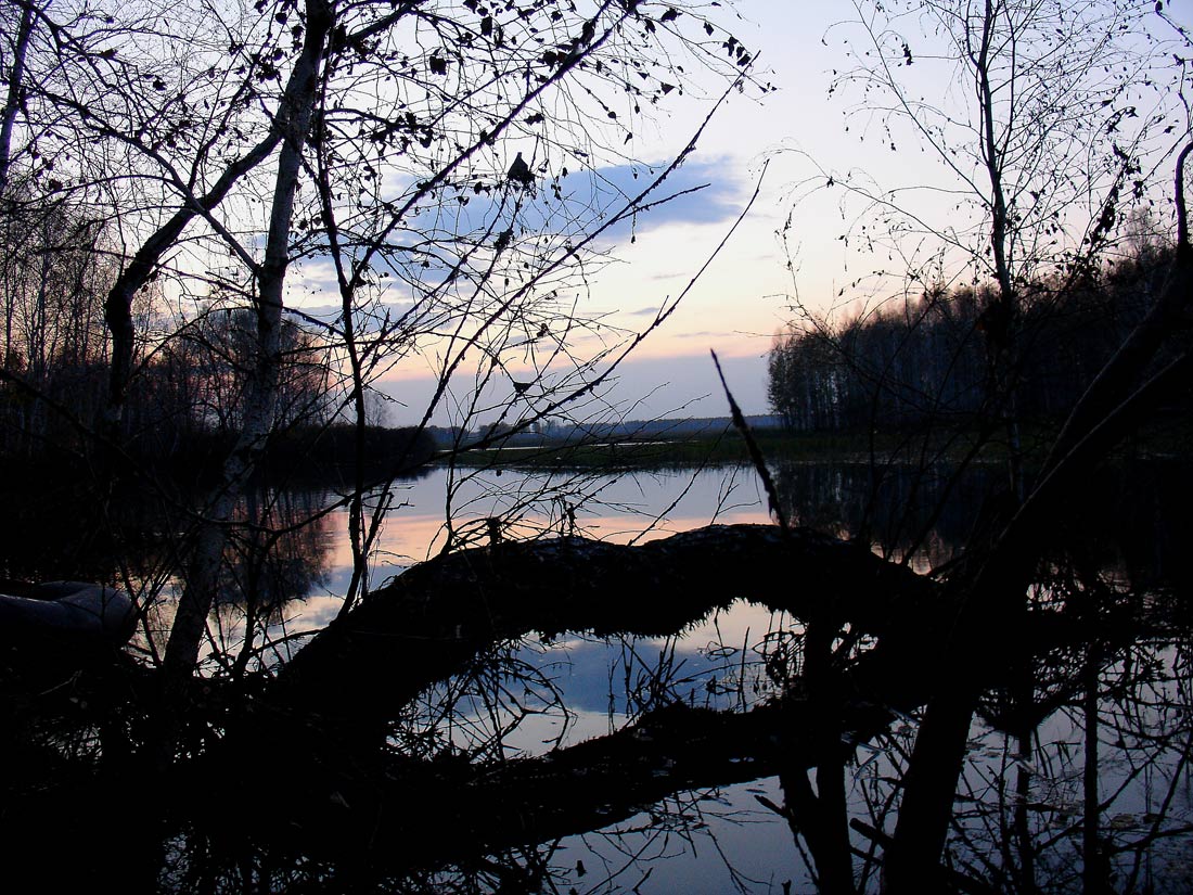 photo "***" tags: landscape, autumn