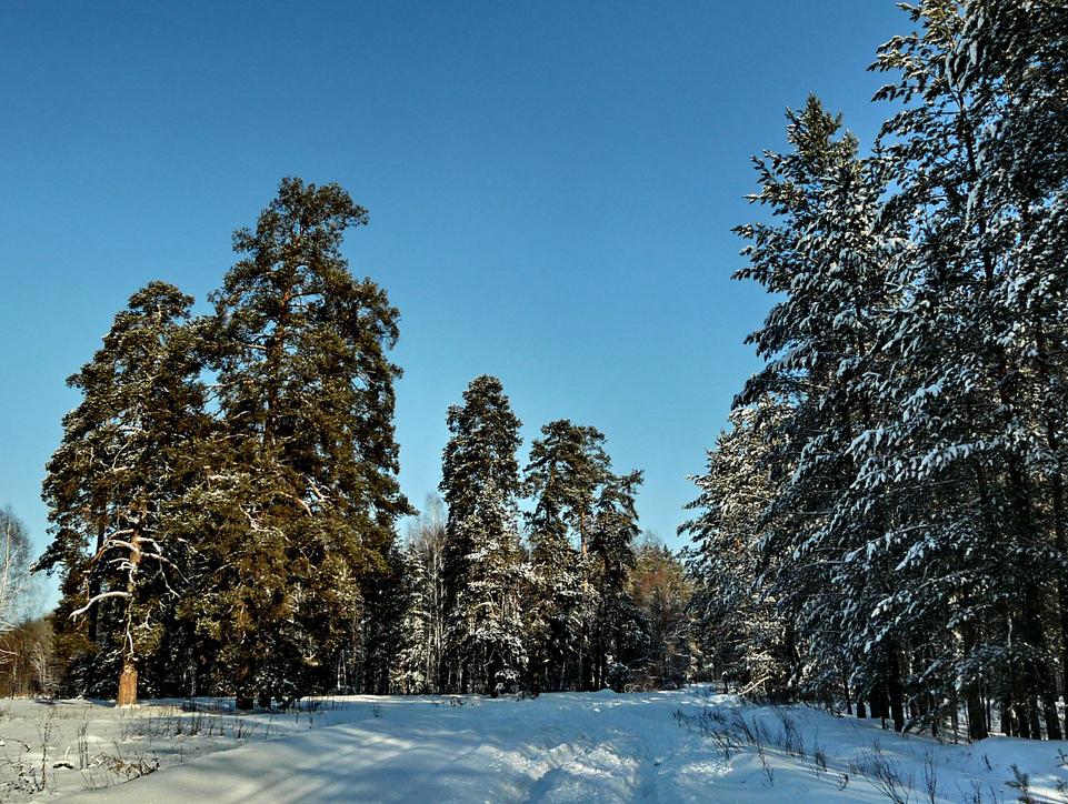 фото "Благолепие" метки: , 