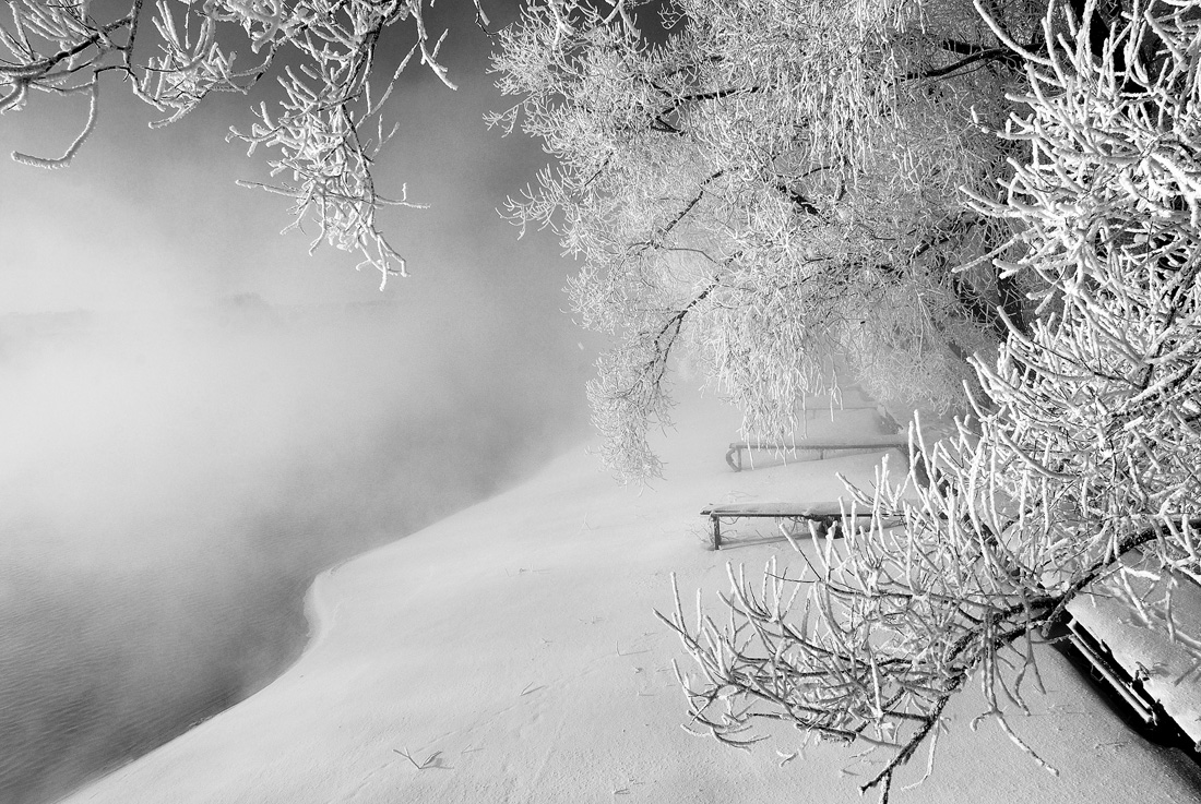 фото "Над берегом." метки: пейзаж, черно-белые, зима