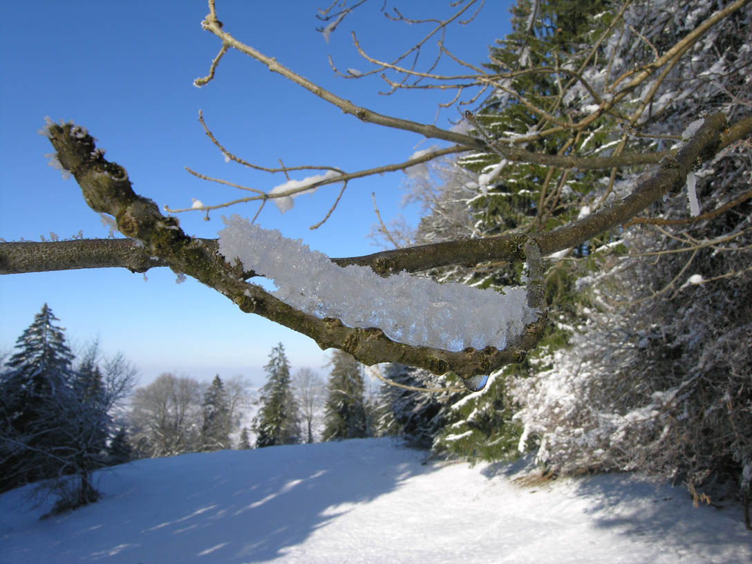 photo "Ice caterpillar" tags: landscape, forest, water