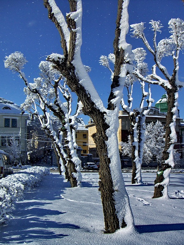 photo "***" tags: landscape, winter