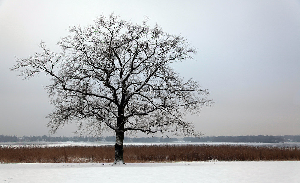фото "winter" метки: пейзаж, зима