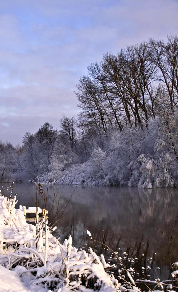 photo "***" tags: landscape, forest, water