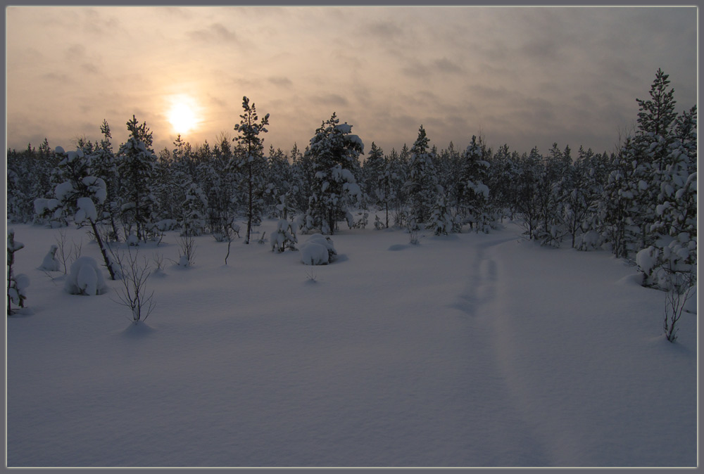 photo "***" tags: landscape, winter