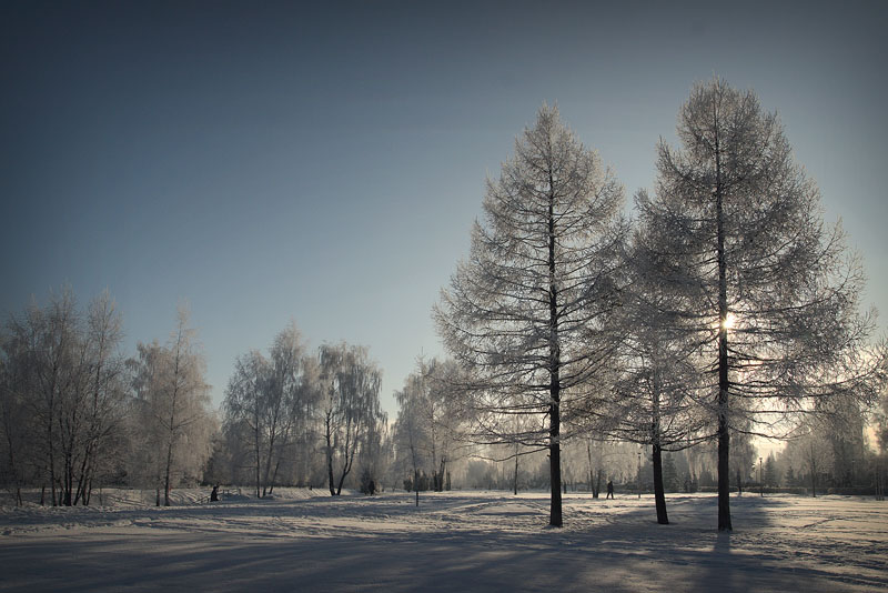 photo "***" tags: landscape, winter